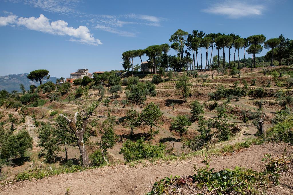 Agriturismo La Molara Sessa Aurunca Εξωτερικό φωτογραφία