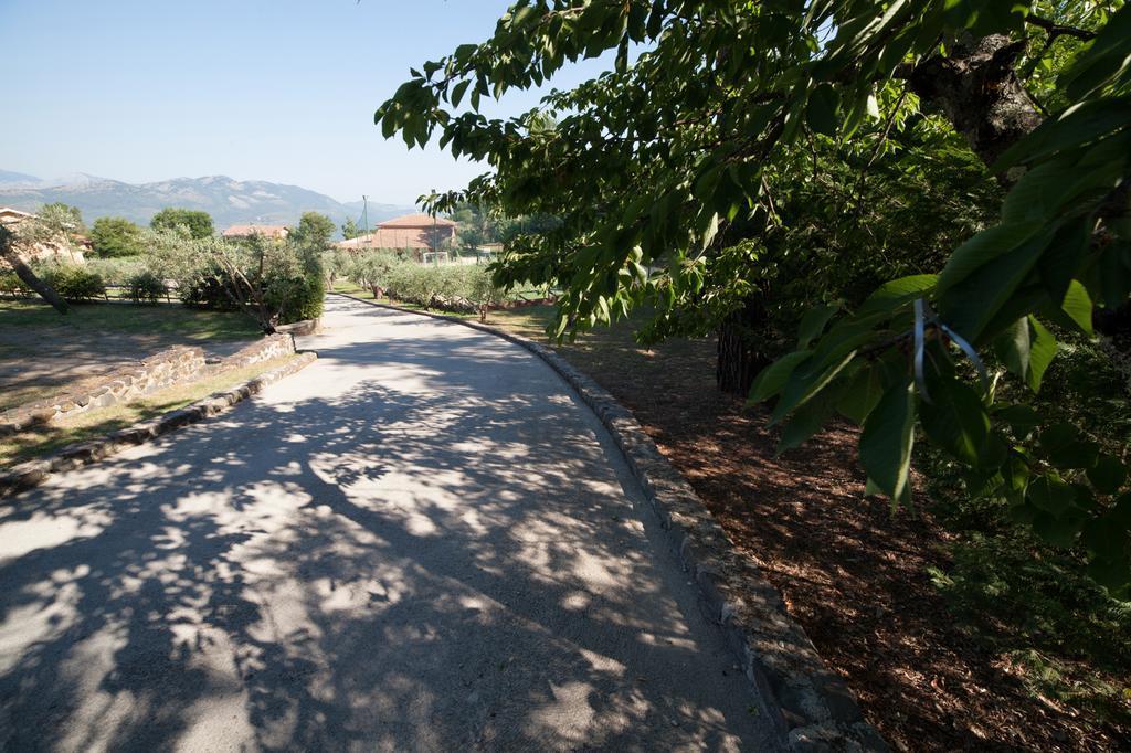 Agriturismo La Molara Sessa Aurunca Εξωτερικό φωτογραφία